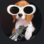 a beagle with a deagle