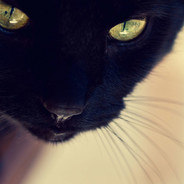 Nearly 30 years old, Mr. Ma.