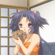 蒲公英少女琴美