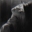 Selene