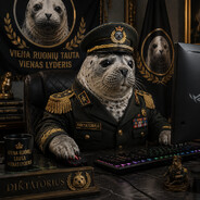 Ruonis_Gaming avataras