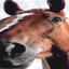 horse from horse magnifier