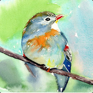 Nightingale - steam id 76561197971088073