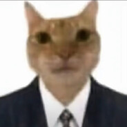 Aaaa纯棉内裤批发喵哥