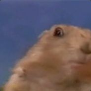 Gonen - steam id 76561197960436140