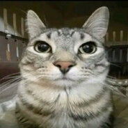 Zé Panela avatar