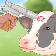A Bad Cow Blames His Tools