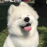 但是我仍然坚信着ww