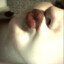 psix