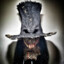 Mad Hatter