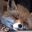 Foxby