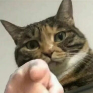 一只路过的修锚