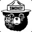 The real Smokey the bear