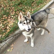 Дрончик с локтя