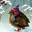 winterbird