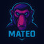 [CWL-e] Mateo