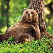 CommandoCareBear avatar