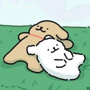 周八睡觉的浠雨