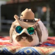 Fredmonroe