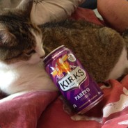 HaHaFunnyCatDrinkAPasito