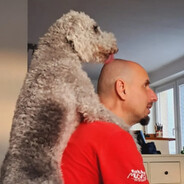 Zdeněk Vondrák (WALTER WHITE)