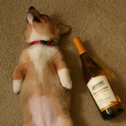 云了很多年的玩家