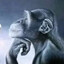 Mister Monkey
