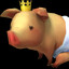 Halal Poogie Meat