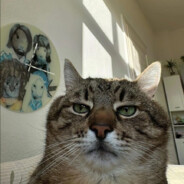 Дружелюбный