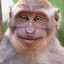 Vafla(monkey)