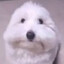 SipoteSleepy