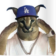 BIG FLOPPA avatar