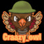 craazy_owl