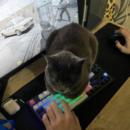 Турецкая борьба Steam avatar