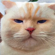 邪魅狂狷龙傲天