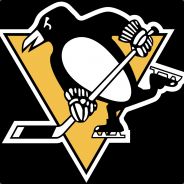 SeS - steam id 76561197962132997