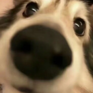 且敬生命之山亘古长青