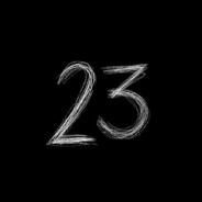 23 Steam avatar