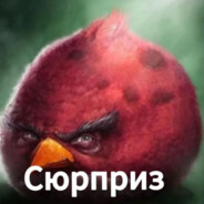 hruska/peek Surpriz