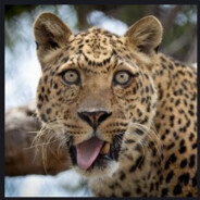 rosewebber - steam id 76561199641834685