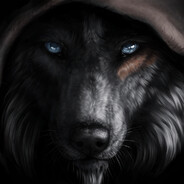 DarkWolf2704 avatar