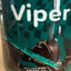 Viiper_24