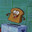 BOB