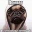 бухтар