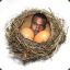 Kanye Nest