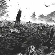 这里有鸽子理想和希望