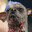 Overdog
