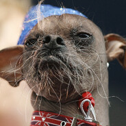 Overdog