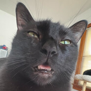 The Silly