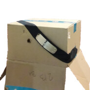 CardboardNinja_
